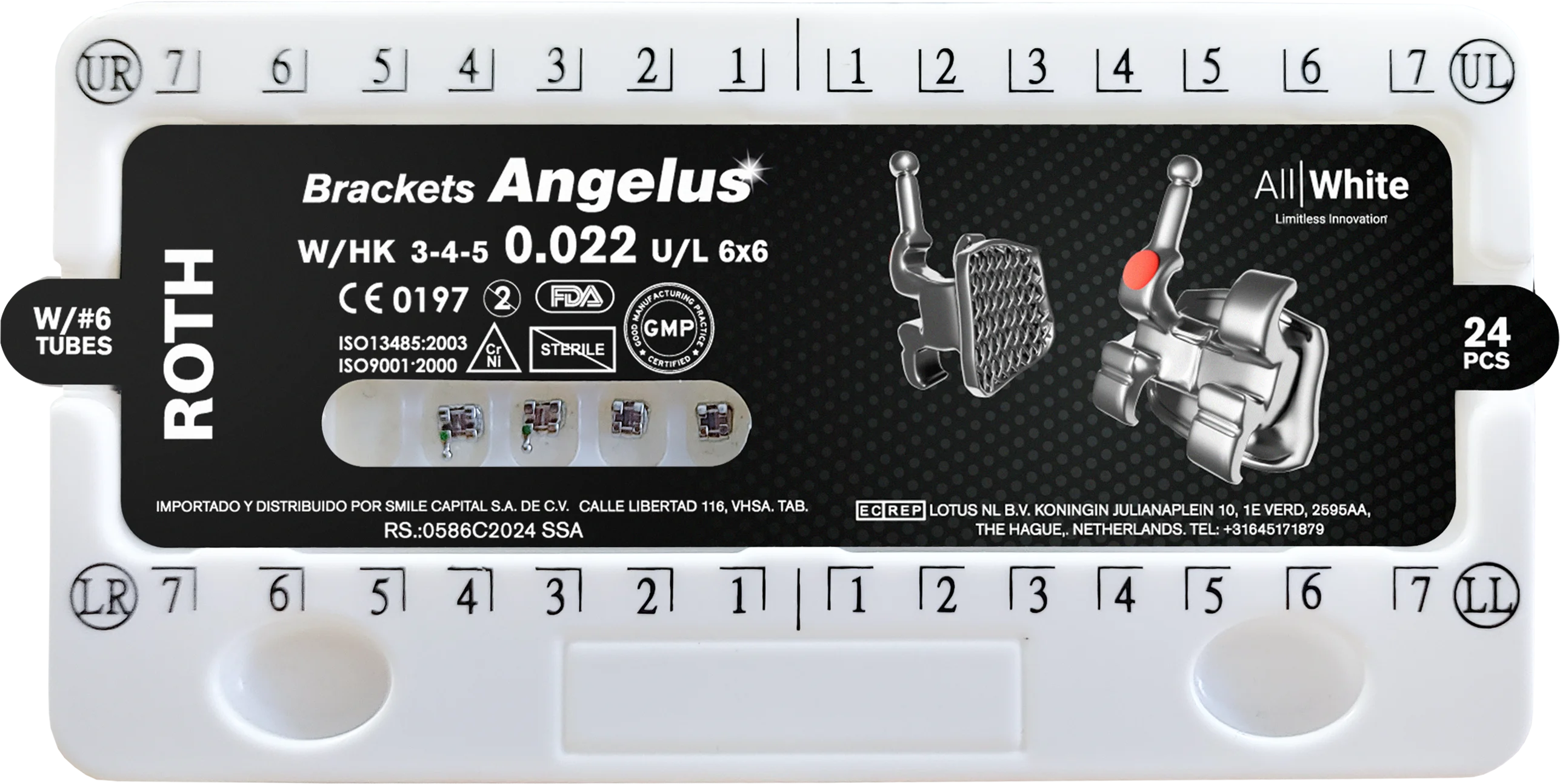 Angelus